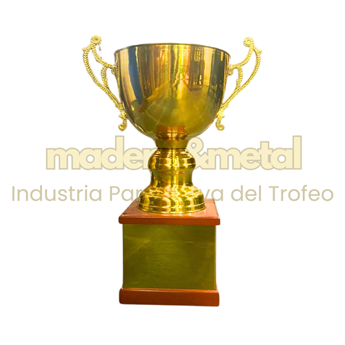 Imagen de Copa espejada - M5.3546